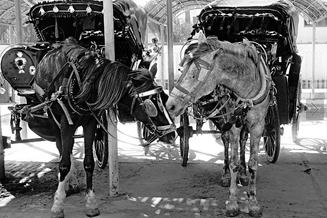 Luxor City Tour By Horse Carriage - Meeting and Pickup Details