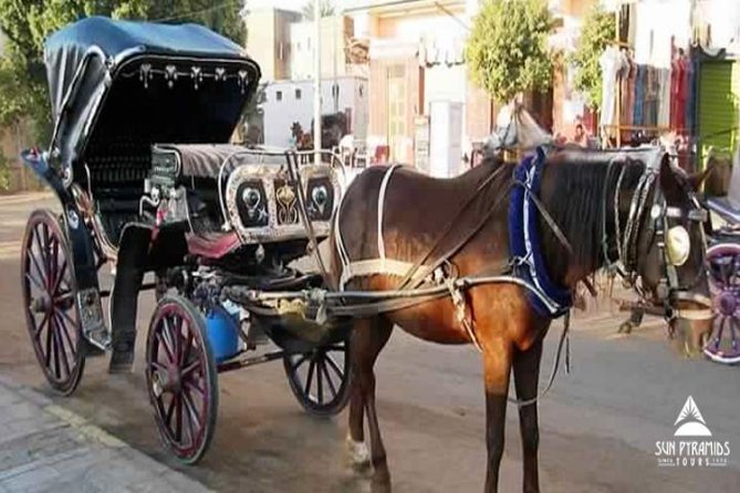 Luxor City Tour By Horse Carriage in Egypt - Nile Corniche Visit Details