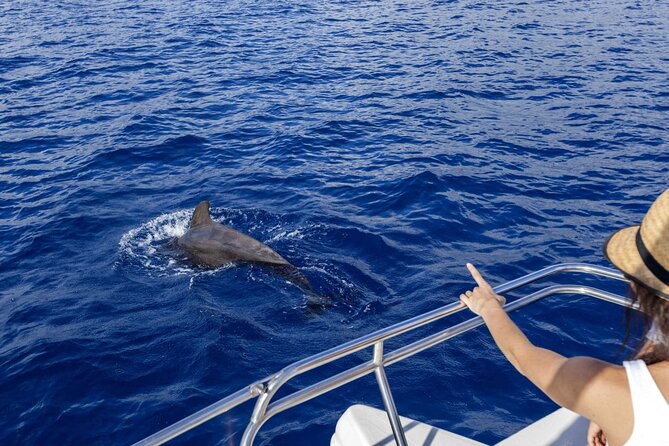 Luxury Private Speedboat Excursion Departing From Hurghada - Pickup Process