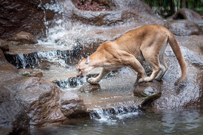 Luxury Private Tour With Transfer and Accommodation From Costa Rica - Meeting and Pickup Details