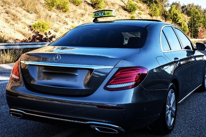 Lyon to Paris Private Transfer - Additional Information
