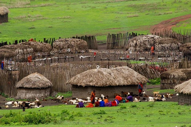 Maasai Boma Day Trip - Inclusions