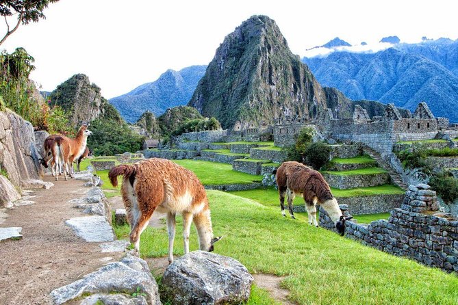 Machu Picchu 1 Day From Cusco | Small Group Service | - Directions
