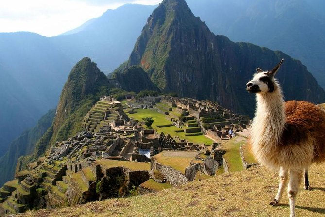 Machupicchu And Mountain-full Day Privat Guided Service 8:00 AM - Inclusions and Pricing
