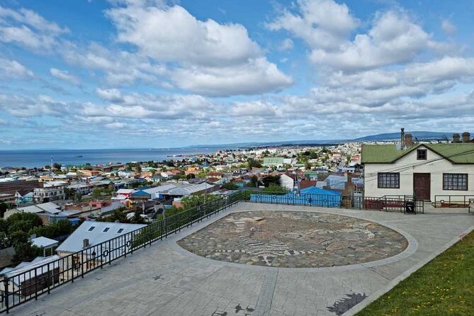 Magallanes Reserva and City Tour. Private Shore Excursion. - Booking Information