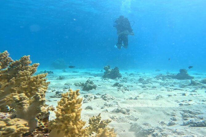 Magaweesh Island Snorkeling Trip With Water Sports From Hurghada - Booking Options and Pricing