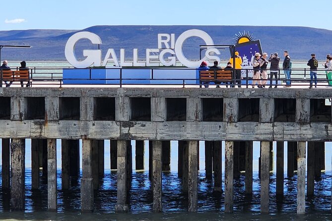 Magellanic Penguins Full Day Tour With Lunch Included - Itinerary Details