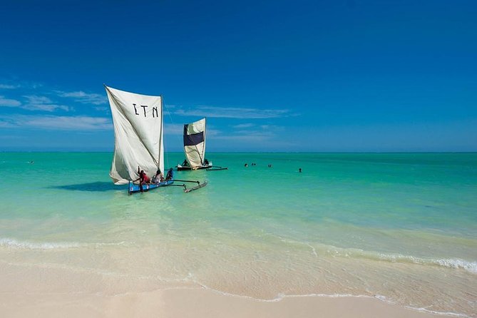 Magical Christmas Tour in Toliara City - Operational Details