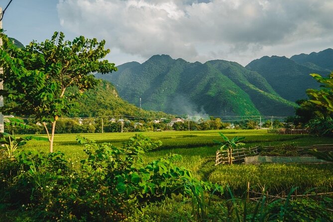 Mai Chau Valley 2 Days Tour From Hanoi -Daily Operated 2024 -2025 - Tour Highlights