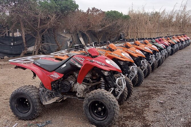 Majorelle Garden & Palmeraie Quad Biking: Marrakech Adventure - Meeting and Pickup Details