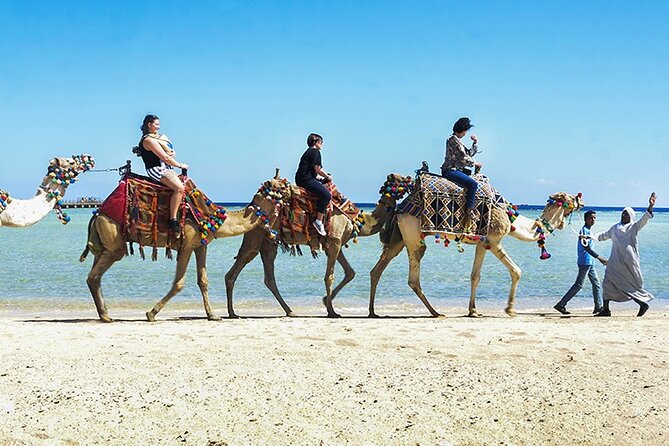 Makadi Bay Camel Ride Experience - Meeting and Pickup