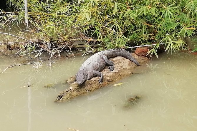 Mangrove & Gandoca Lagoon - Frequently Asked Questions