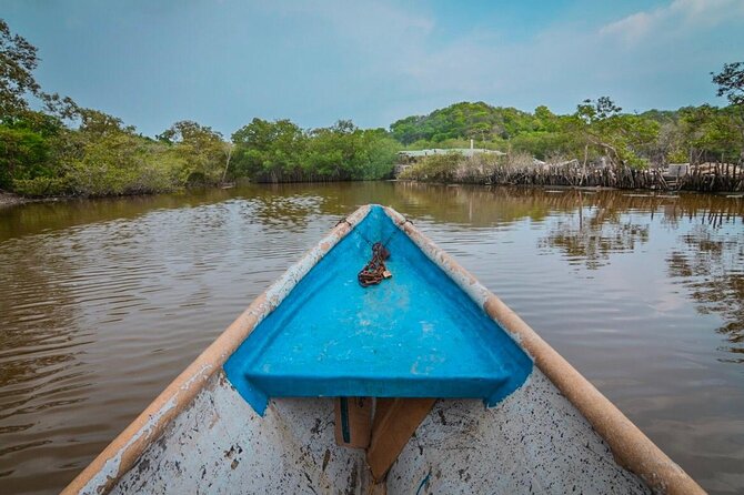 Mangroves and Fishing Show - Frequently Asked Questions
