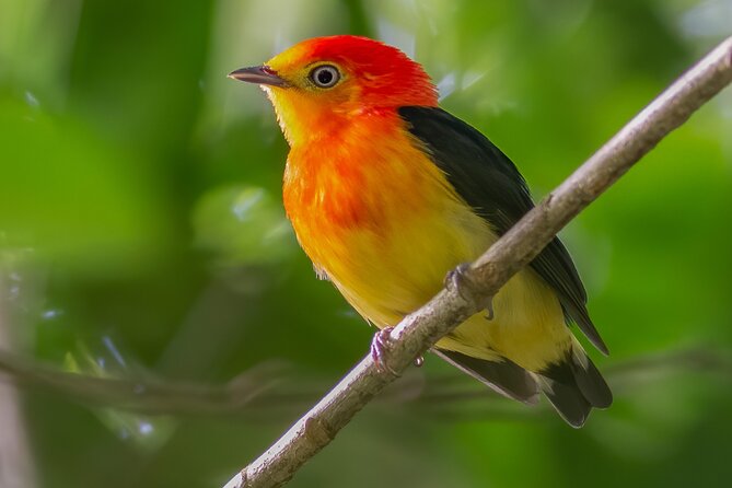 Manu National Park Tour 4 Days - Packing Essentials