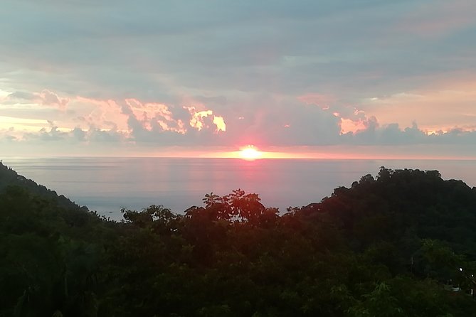 Manuel Antonio & Quepos One Way Transfer to SJO Hotels - Airport up to 5 People. - Reviews and Pricing