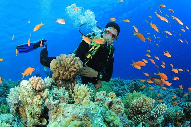 Marmaris and Icmeler 7 Hour Scuba Diving - Safety and Accessibility Details