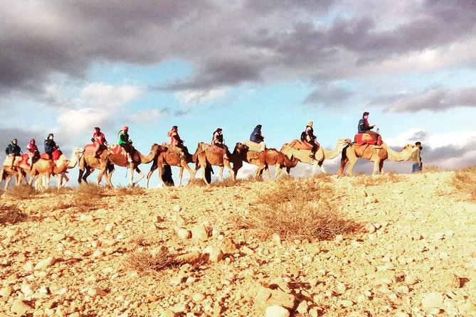Marrakech: 1/2 Day Camel Ride in the Palm Grove - Includes: 1-Hour Camel Ride