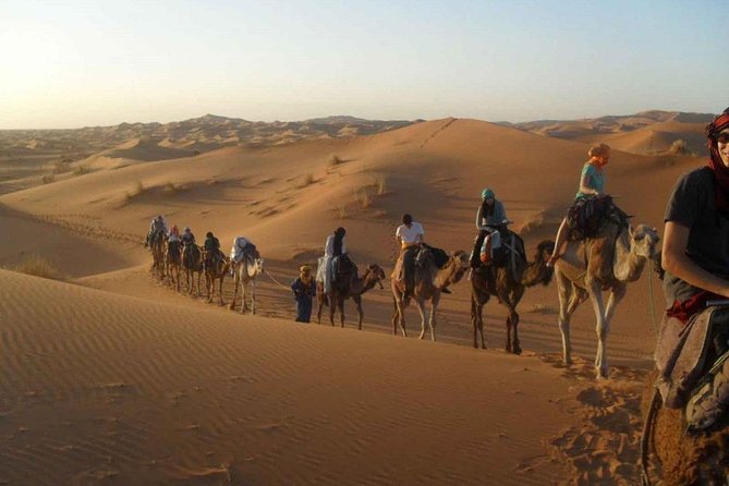 Marrakech Desert Tour 3-Days - Inclusions and Pricing