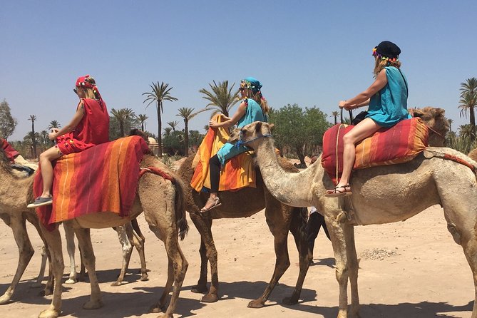 Marrakech Experience: PalmGrove Camel Ride Excursion - About the Operator