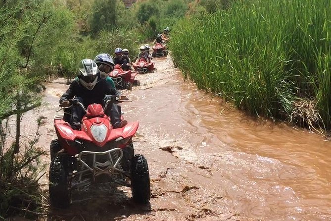 Marrakech: Half-Day Desert Quad & Dromedary Tour - Additional Information