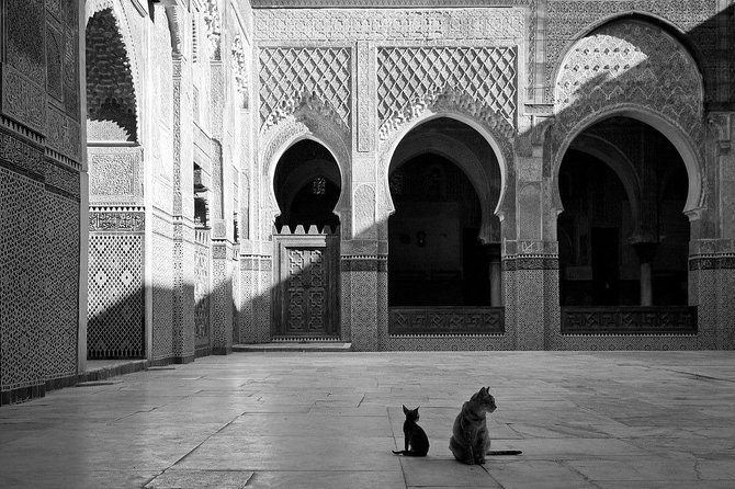 Marrakech Highlights and Hidden Gems 5 Hour Private Tour