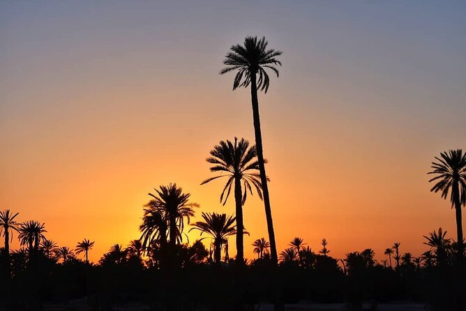 Marrakech Palmeraie Tour With 1 Hour Camel Ride - Additional Information