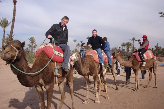 Marrakech Private Tour With Camel Ride in Palmeraie - Inclusions and Exclusions
