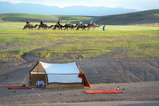 Marrakech: Sunset Camel Riding & Magical Dinner In Agafay Desert - Tour Details
