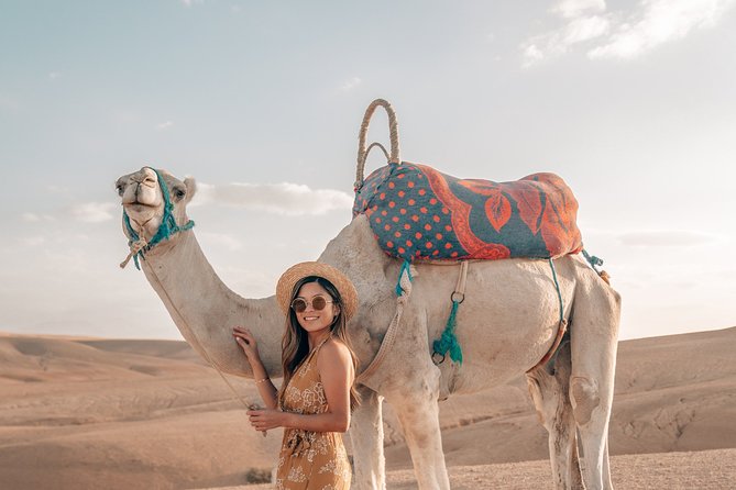 Marrakech to Agafay Desert & Atlas Mountains With Camel Ride