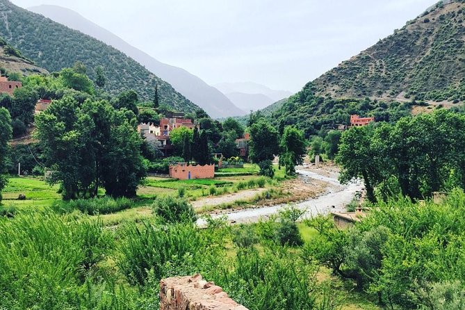 Marrakech To The Atlas Mountains Day Trip 3 Valleys & Camel Ride - Itinerary Highlights