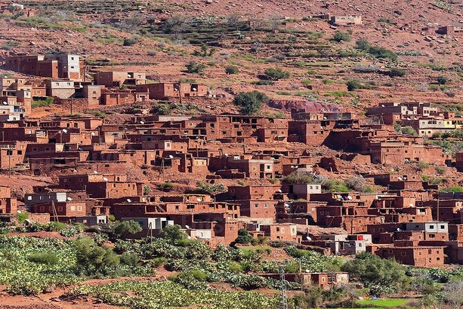 Marrakesh Day Excursion to Atlas Mountains Valley - Customer Reviews and Ratings
