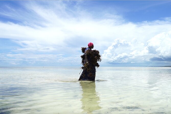 Matemwe Village Tour in Zanzibar Island - Activity Accessibility