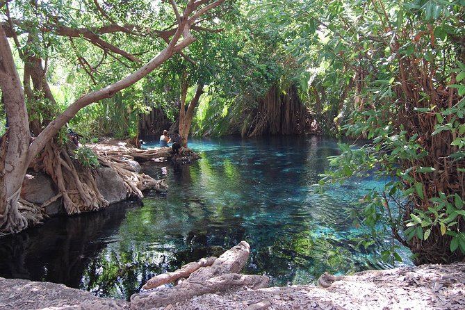 Materuni & Chemka Hotspring Day Trip - Additional Details