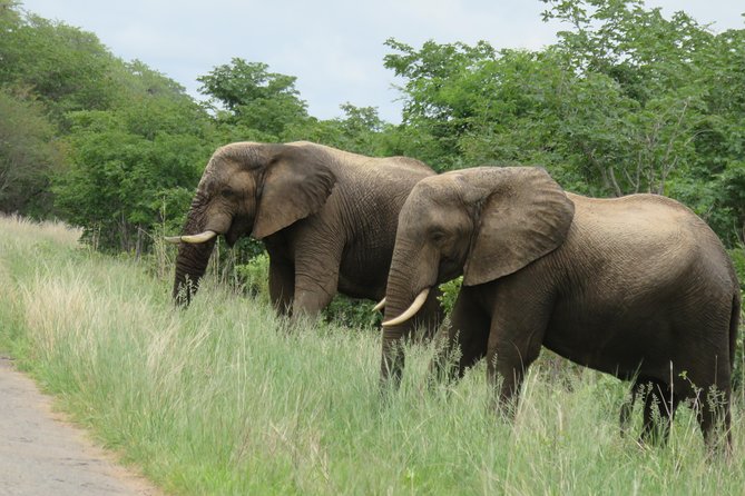 Matopos to Hwange National Park & Victoria Falls Drop Off! - Exclusions and Recommendations