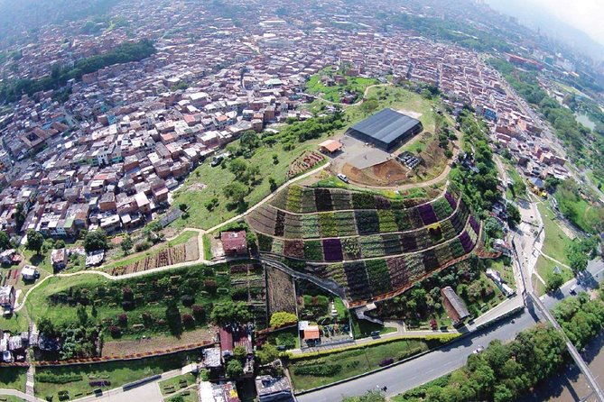 Medellin: From Violence to Innovation (Virtual Guided Tour) - Rise of Innovation and Transformation