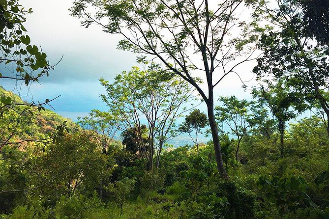Meditation & Music Therapy at Polgahaamuna Waterfall - Cancellation Policy