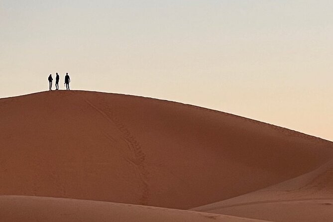 Merzouga Desert Sunrise Walking Trip From Erfoud With Local Guide - Accessibility and Health