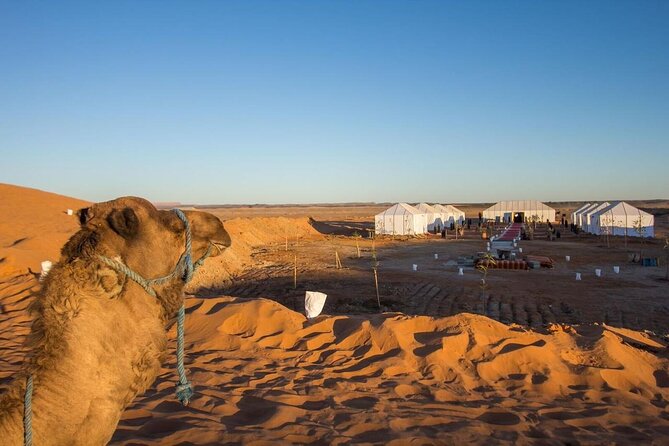 Merzouga Private 3-Day Desert Tour From Marrakech - Pricing and Booking Details