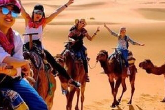 Merzouga Wild Luxury Desert Cam