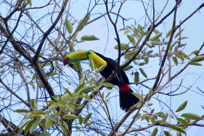 Minca Full Day Tour From Santa Marta - Additional Information