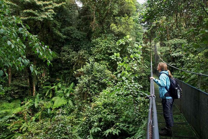 Mistico Arenal Hanging Bridges
