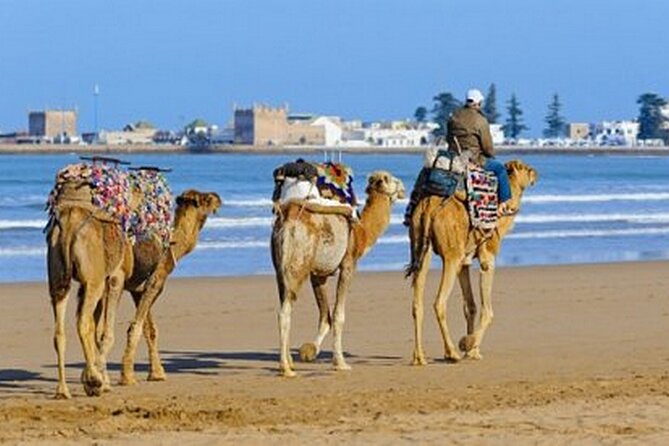 Mogador Camel Expedition Ecotour | Private & Luxury - Cancellation Policy
