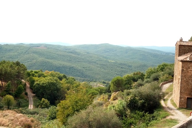 Montalcino and Pienza Tuscany Wine&Cheese Fullday From Rome - Cheese Tasting in Pienza