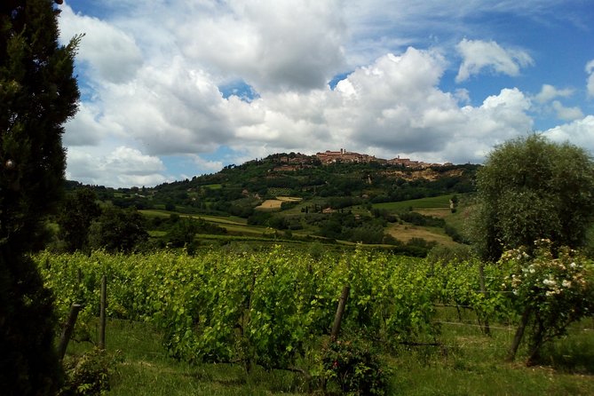 Montalcino and Pienza Tuscany Wine&Cheese Shoreexcursion From Civitavecchia Port - Pricing and Booking