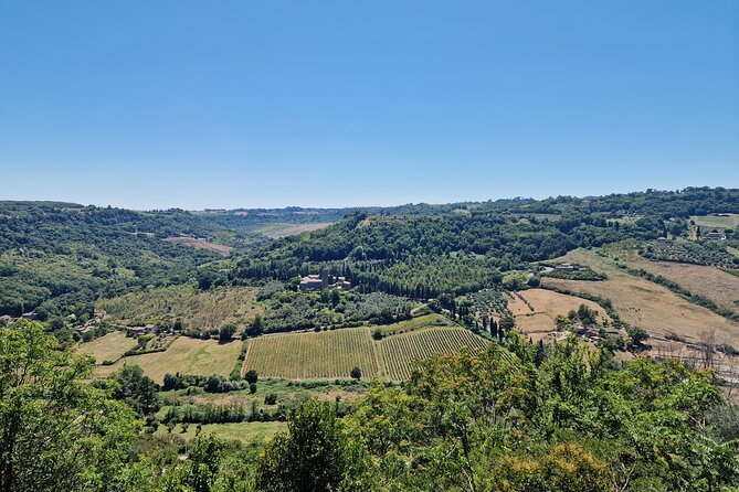 Montepulciano Wine Tasting Private Tour From Rome - Pricing and Reservation