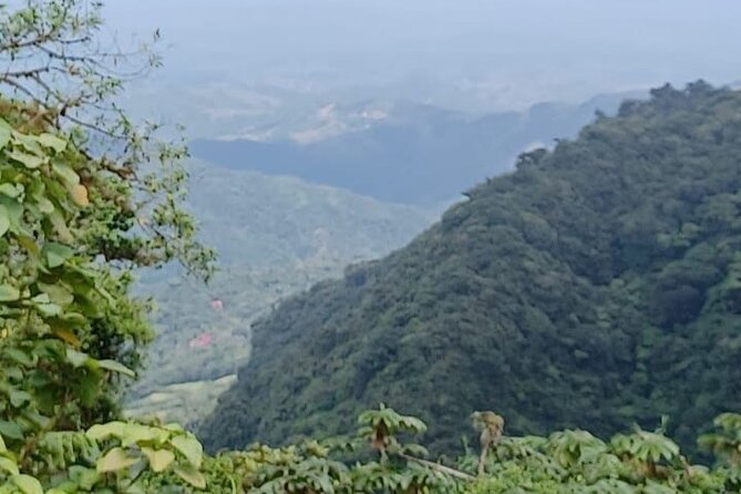 Monteverde Cloud Forest Private Tour - Location Details