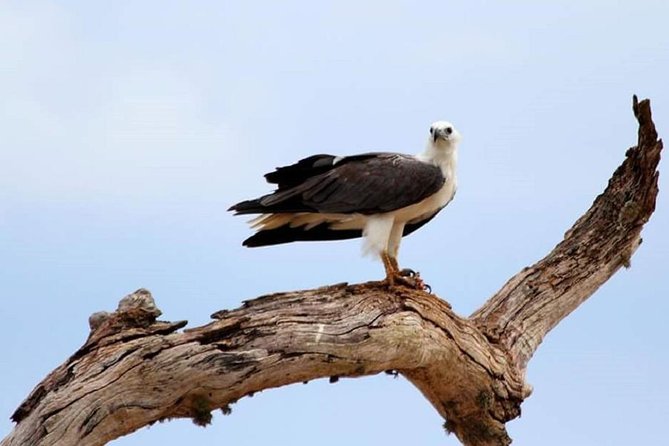 Morning 07 Hours Private Safari at Yala National Park by La Safari Inn Tours - Pickup and Accessibility