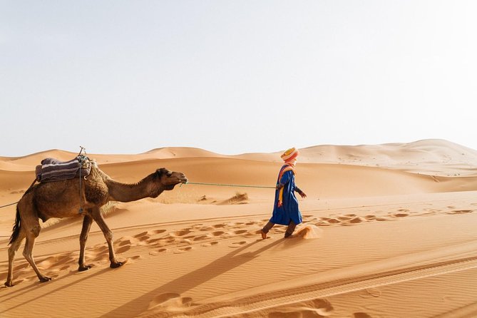 Morocco Desert Tour 7 Days - Tour Itinerary