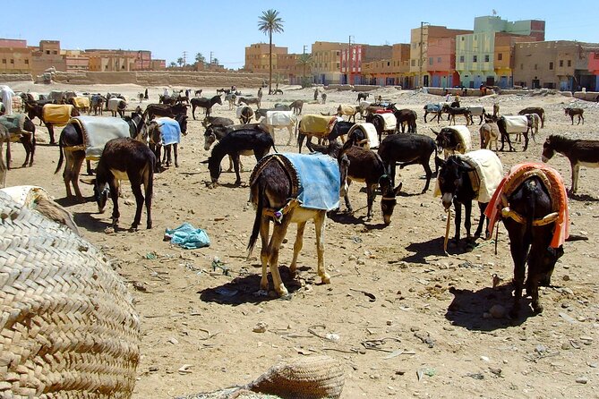 Morocco Sahara Tour From Marrakech to Merzouga Desert 4 Days - Transportation Information