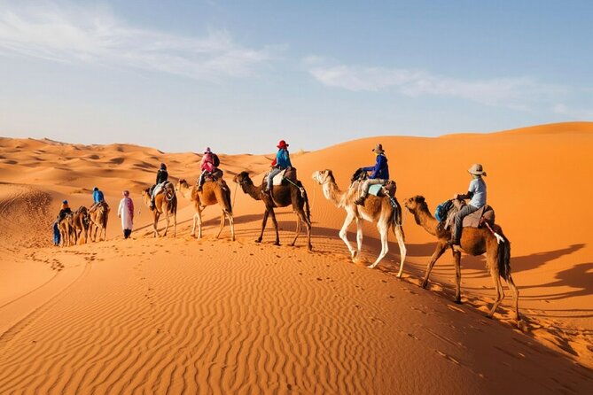 Morocco Tour Private 10-Days From Tangier to Merzouga, Marrakech. - Pickup and Transportation